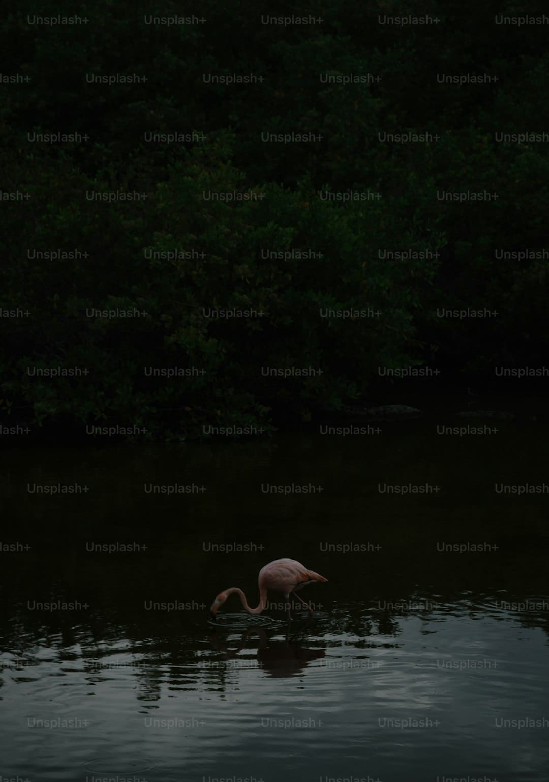 https://img0.utuku.imgcdc.com/650x0/news/20250905/df0b4c1e-cd06-4647-8d3c-5a0d24fec66b.jpg